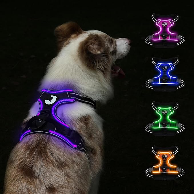 Taglory Light Up Dog Harness, Rechargeable No Pull Dog Vest with 3 Lightning Modes, Reflective Dog Harness with 2 Leash Clips & 4 Adjustable Slide Strips for Large Dogs, Black-Purple, L