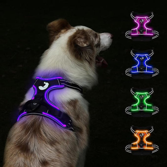 Taglory Light Up Dog Harness, Rechargeable No Pull Dog Vest with 3 Lightning Modes, Reflective Dog Harness with 2 Leash Clips & 4 Adjustable Slide Strips for Medium Dogs, Black-Purple, M