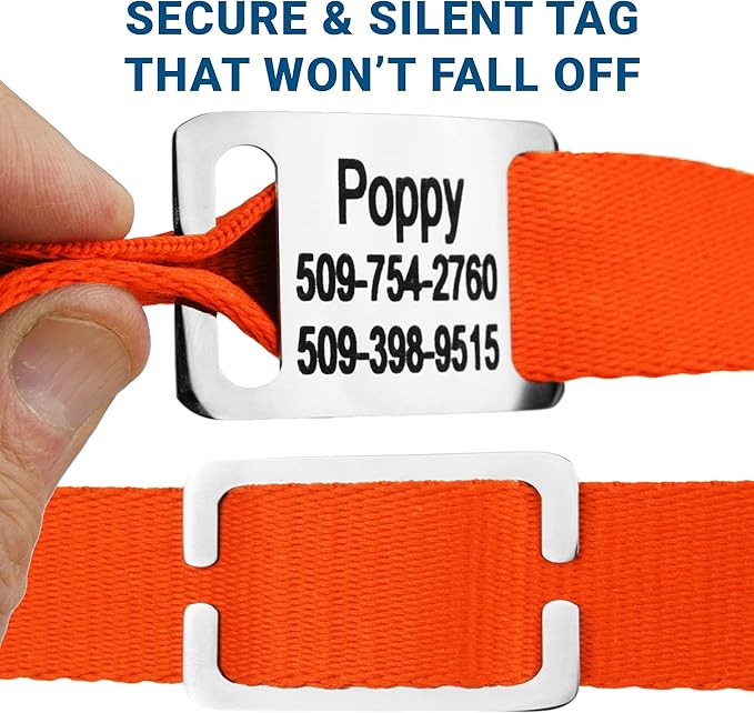 GoTags Personalized Dog Collar with Nameplate, Adjustable Dog Collar with Custom Engraved Slide On Pet ID Tag in Stainless Steel, Silent, No Noise Dog Tag for Large Medium and Small (Orange, Medium)