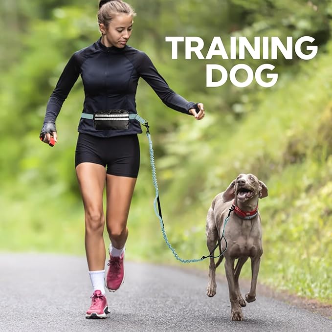 Hands Free Dog Leash with Pouch, Double Leash for Two Dogs, Retractable Bungee with Double Padded Handles, Dog Waist Leash for Dog Walking, Running Leash for Dogs, Dog Walking Accessories