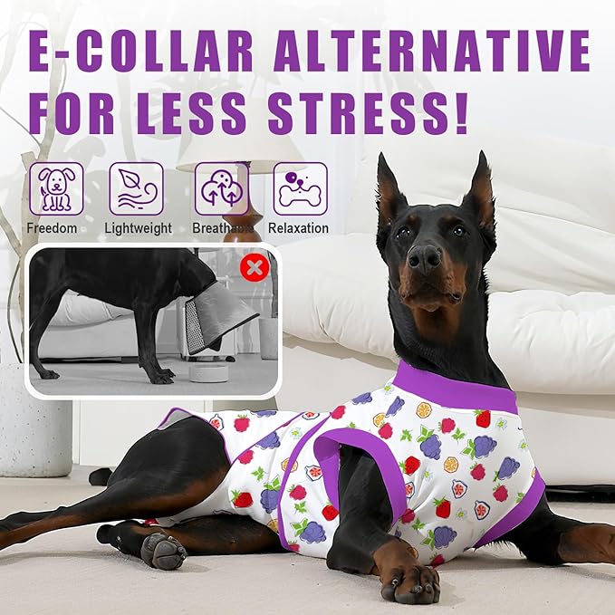 Recovery Suit for Dogs After Surgery, Professional Dog Surgical Suit for Female Spay, Male Neuter, E-Collar & Cone Alternative Dog Onesie for Abdominal Wounds Skin Disease, Purple, L