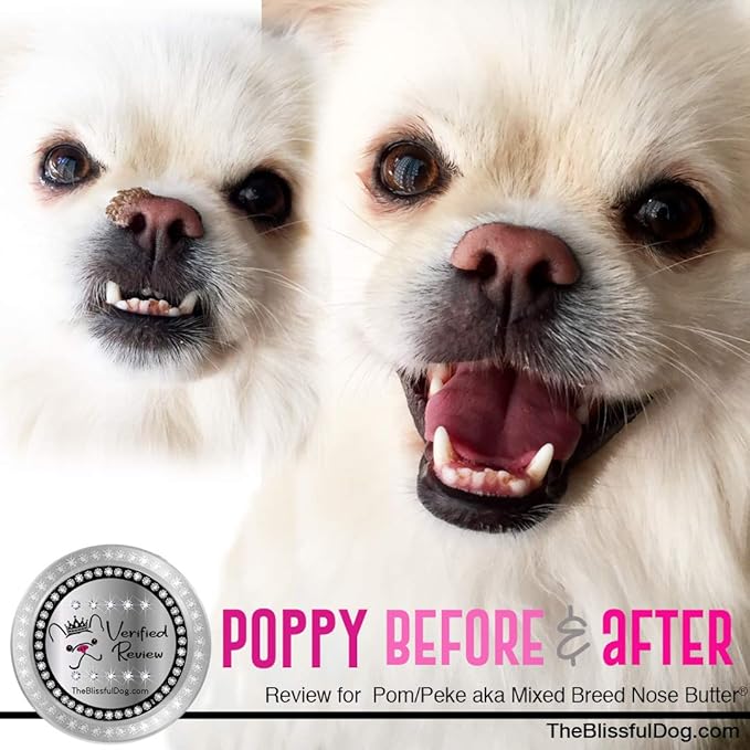 The Blissful Dog Mixed Breed Nose Butter, Versatile Dog Nose Balm for Dry Nose, Handcrafted Nose Moisturizer, Easy-to-Apply Dog Essentials, Unscented, 1 oz.