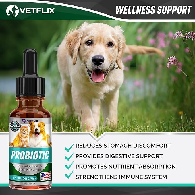 Premium Probiotics for Dogs, Cats - Digestive Enzymes & Prebiotics Supplement - Helps to Relieve Diarrhea, Vomiting, Upset Stomach, Gas, Constipation & Bad Breath - Supports Digestive System - 2 Fl Oz