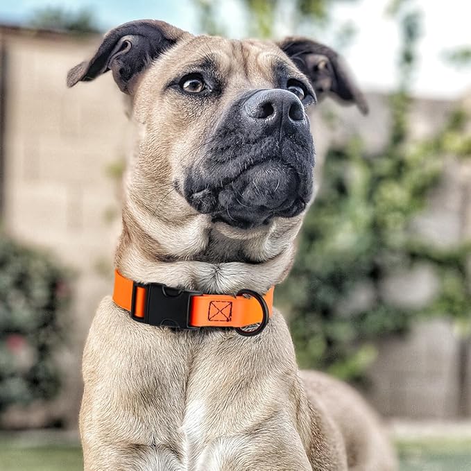 Dogline Biothane Waterproof Dog Collar with Quick Release Buckle Strong Coated Nylon Webbing with Odor- Proof for Easy Care Easy to Clean Fits Small Medium or Large Dogs, Orange 3/4" W 12-19" L