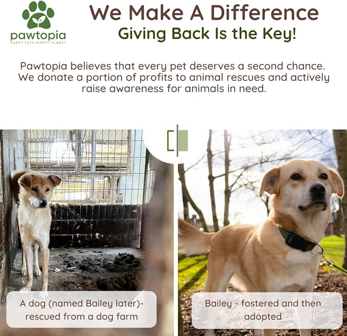 Pawtria Certified Home Compostable Dog Poop Bags (240) + Kraft Paper Dispenser, Biodegradable Poop Bags, Cat Litter, Vegetable Starches, Leak proof Dog Waste Bags, Easy to Open