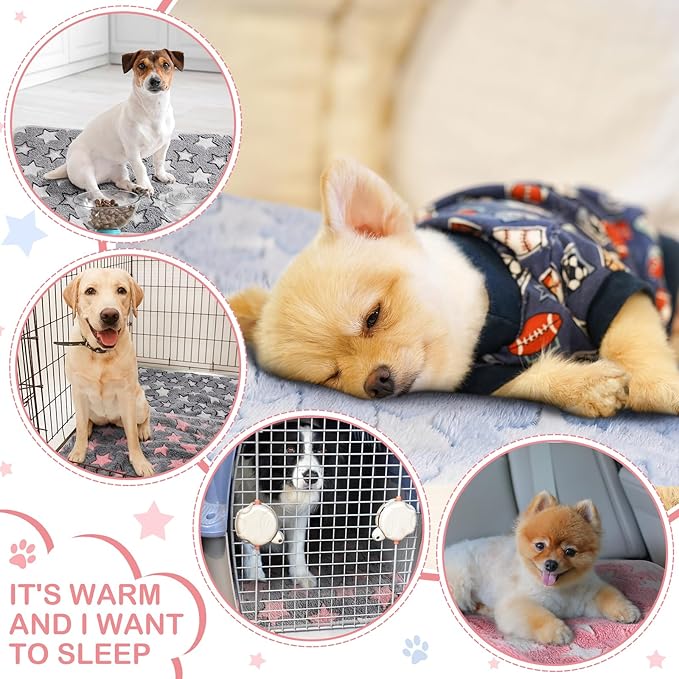 Reginary 4 Pcs Waterproof Guinea Pig Blankets Washable Small Animal Fleece Bedding Absorbent Guinea Pig Cage Liners Reusable Pet Pee Pad Sleep Mat for Hamster Ferret(Cute Star Pattern,28 x 56 Inch)