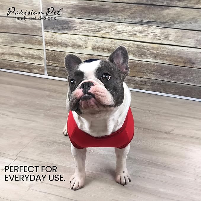 PARISIAN PET Embroidered 'Worlds Champion' Sleeveless Dog Tee - Machine Washable Color Block Tank Top - Lightweight, Small Dog XS