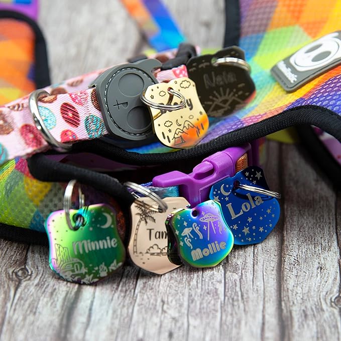 Personalized Dog Tag with 5 Lines of Custom Deep Engraved Durable Stainless Steel Pet ID Name Tag Designer Small Size Badge