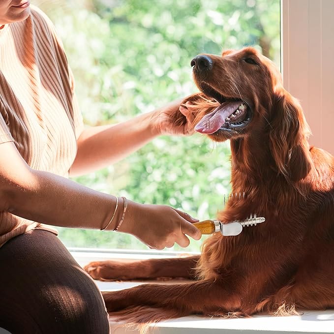TAKAVU Dematting Fur Rake Comb Brush for Dogs & Cats - Undercoat Comb with Safety Blades for Removing Knots, Mats & Tangles - Grooming Tool for Poodles, Doodles, Long Haired Pets
