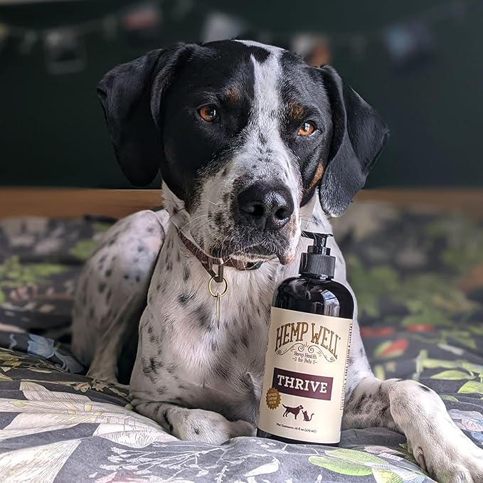 Hemp Well Thrive Oil for Dogs and Cats – Supports Hip, Joint, and Heart Health, Promotes Immune System, and Promotes Healthy Skin from Seasonal Allergies, Organically Sourced - 8 Ounces