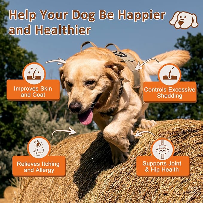 NATURE TARGET Omega 3 Fish Oil for Dogs, Salmon Oil Skin and Coat Supplement for Dogs Itchy Skin Relief with Omega 3-6-9 (EPA & DHA), Zinc, Biotin and Vitamin E & C - 120 Salmon Flavored Soft Chews