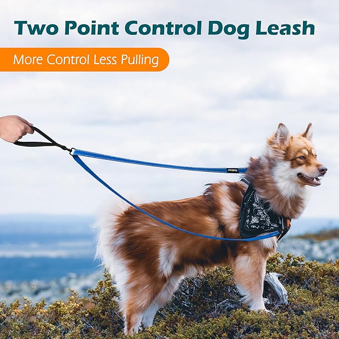 PetBonus Two Point Control Dog Leash, Works with No Pull Harnesses, No Tangle Dog Training Leashes, No Pull Padded and Reflective Walking Lead, Converts to Single Leash for Medium Large Dogs (Blue)