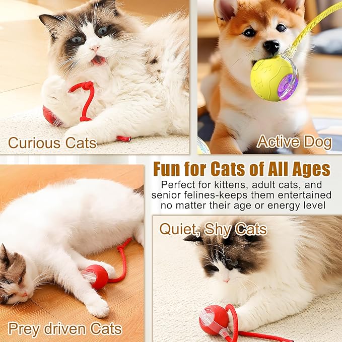 Interactive Cat Toys for Indoor Cats, 2025 New Interactive Cat Toys, Intelligent Automatic Rolling Pet Ball, Automatic Obstacle Avoidance Cat Toy Ball with Rope, Three Modes Adjustment (red)