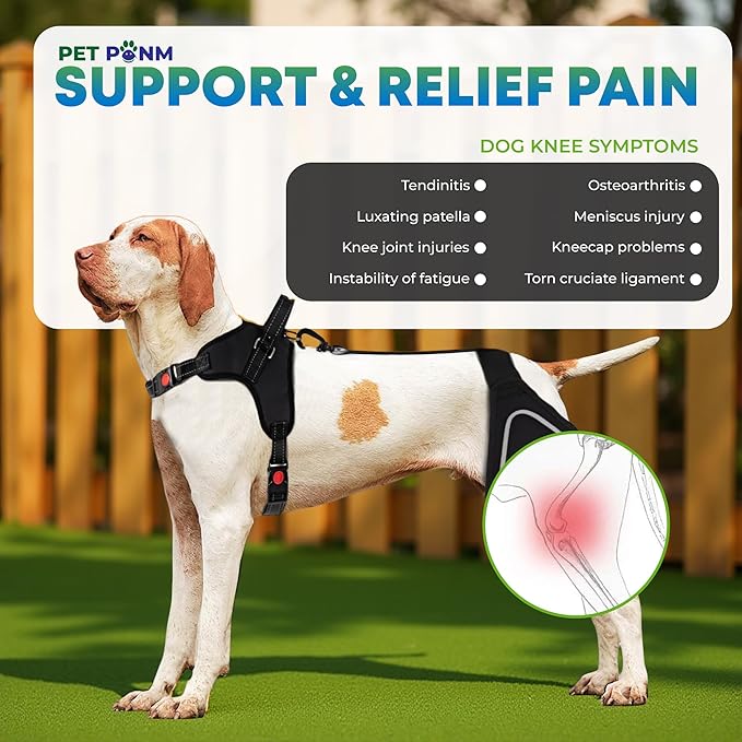 Dog ACL Knee Brace for Back Left Leg - with Integrated Harness - for Cruciate Ligament Injuries, Patellar Luxation, Post-Surgery Recovery. Durable, Breathable Material, Eases Pain - (XLarge)