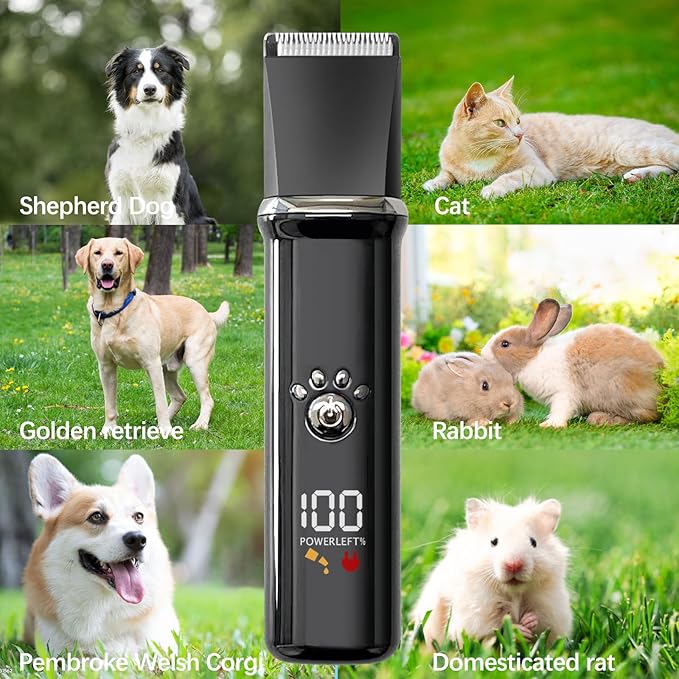 Dog Clippers Grooming Kit - Low Noise, Cordless Electric Trimmer with Nail Grinder for Dogs & Cats, 4 in 1 Rechargeable Clippers for Paws, Ears, Face and Matted Hair (Black)