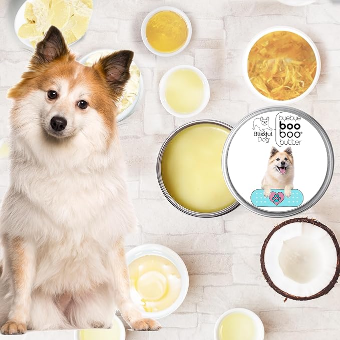 The Blissful Dog Icelandic Sheepdog Boo Boo Butter, 8 Ounce