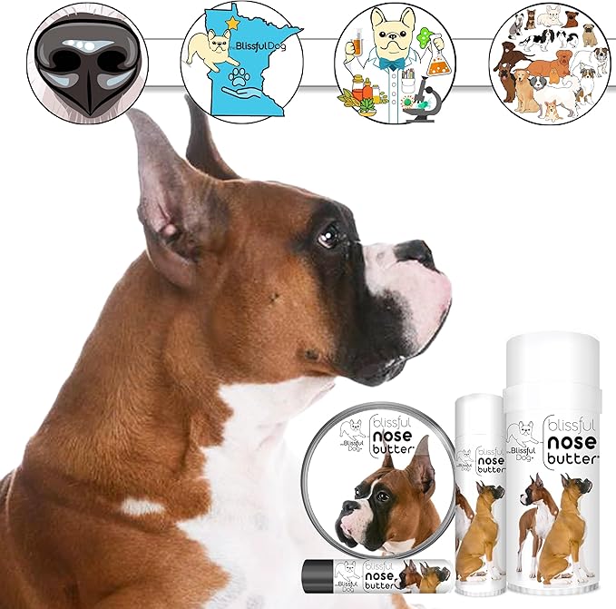 The Blissful Dog Show Boxer Nose Butter for Dry, Cracked Skin, Lick-Safe Dog Nose Balm with Moisturizing Shea Butter, Almond, Olive, and Essential Oils, Pet Supplies, Uncented, 2 oz.
