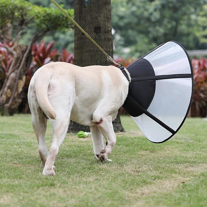 Soft Dog Cone Suitable for Postoperative Use in Dogs, Adjustable and Comfortable Elizabeth Collar, Used for Wound Care, Sterilization, Suitable for Medium to Large Dogs (XL)