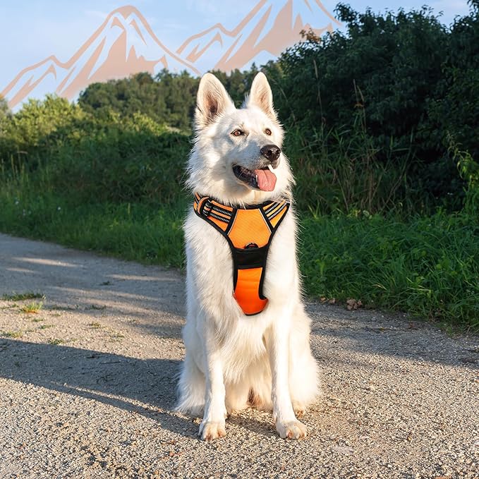 Eagloo Dog Harness for Large Dogs, No Pull Service Vest with Reflective Strips and Control Handle, Adjustable and Comfortable for Walking, No Choke Pet Harness with 2 Metal Rings, Orange, XL
