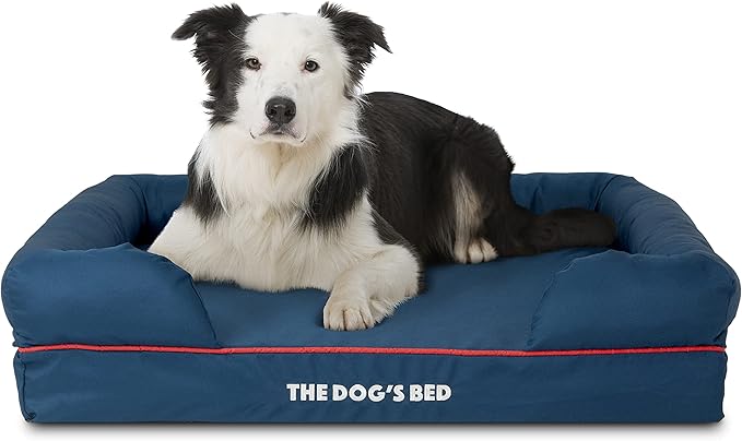 The Dog’s Bed, Large Oxford Blue/Red 36x27 Memory Foam, Pain Relief: Arthritis, Hip & Elbow Dysplasia, Post Surgery, Lameness, Supportive, Calming, Waterproof Washable Cover, Veterinary Approved