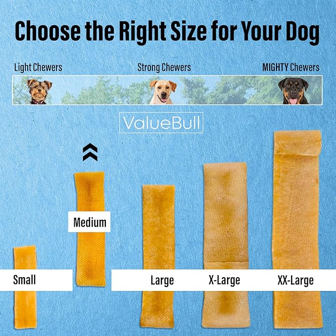 ValueBull Himalayan Yak Cheese Dog Chews, Medium, 25 ct Bulk Pack - Long Lasting for Aggressive Chewers, All Natural, Healthy & Safe, Low Odor Nepal Yak Milk Chews
