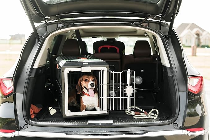 USA Pet Carrier & Crate 26" - Premium Collapsible Design for Medium Cats and Dogs - Portable Kennel for Indoor/Outdoor Use - 360-Degree Ventilation & Hard Plastic Wall Protection