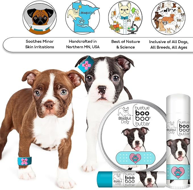 The Blissful Dog Boston Terrier Boo Boo Butter, 16oz