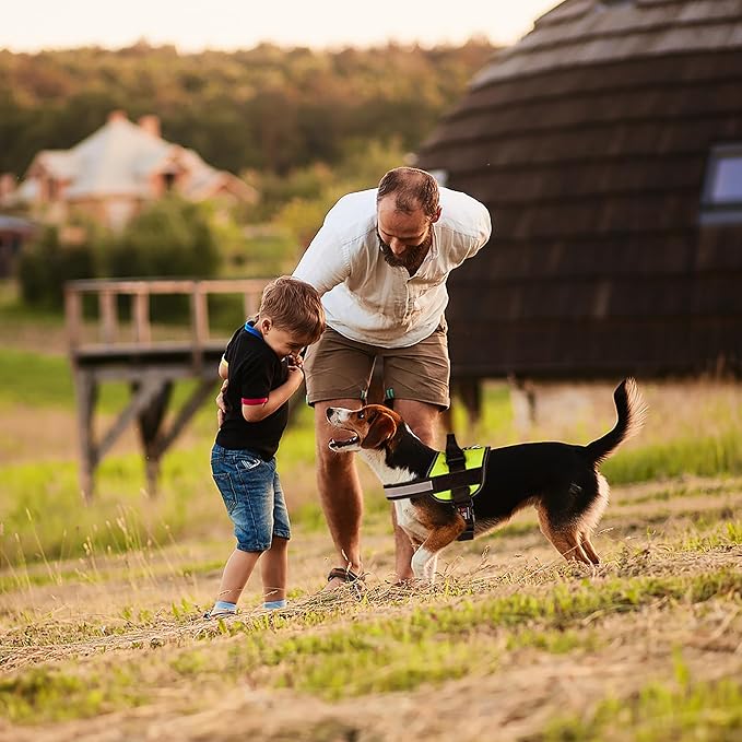 Dogline Dog Harness, Reflective No-Pull Adjustable Vest with Handle for Walking, Training, Breathable, No - Choke Harness for Small, Medium or Large Dogs Room for Patches Girth 33"-46" in Lime Green