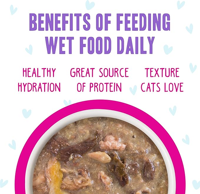 Weruva B.F.F. OMG - Best Feline Friend Oh My Gravy!, Lots-O-Luck! with Duck & Tuna in Gravy Cat Food, 2.8oz Can (Pack of 12)