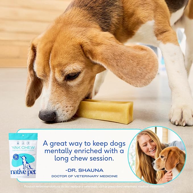 Native Pet Yak Cheese Himalayan Dog Chews - Long Lasting Dental Sticks for Medium Breeds – 100% All Natural Himalayan Yak Chews for Medium Dogs – Cheese Bone for Aggressive Chewers - 3 Per Pack