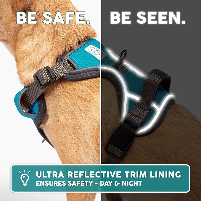 Embark Adventure Dog Harness, Reflective Trim No Pull Dog Harness Medium Sized Dogs - Military Grade Nylon, Front Clip with Gel Lined Handle.