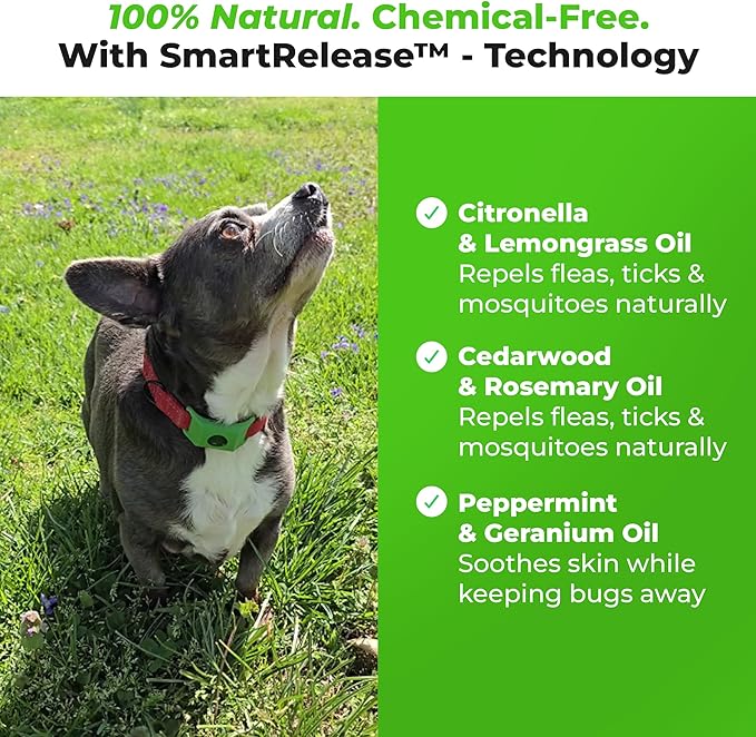 FurLife Blue Dog Tag, Flea and Tick Prevention for Dogs - Waterproof Pendant for Collar, Safe for All Breeds