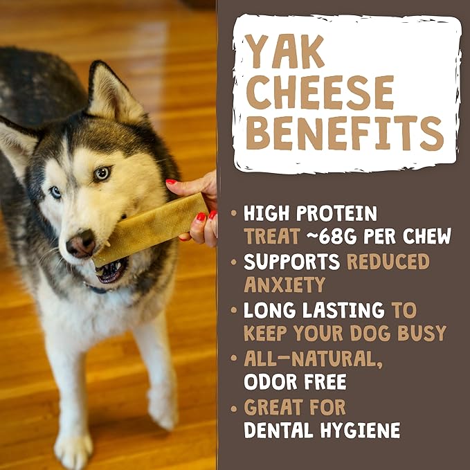 Mighty Paw Yak Cheese Chews for Dogs | All-Natural Long Lasting Pet Treats. Odorless and Great for Oral Health. Limited-Ingredient Chews for Puppies & Power-Chewers (Large, 8 Pack)