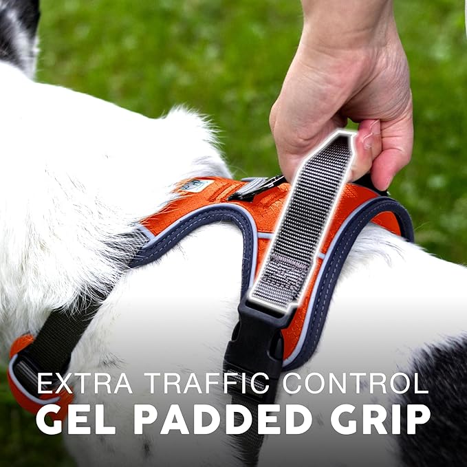 Embark Adventure Dog Harness, Reflective Trim XL Dog Harness for Extra Large Dogs No Pull - Military Grade Nylon, 2 Leash Clips & Gel Lined Handle.