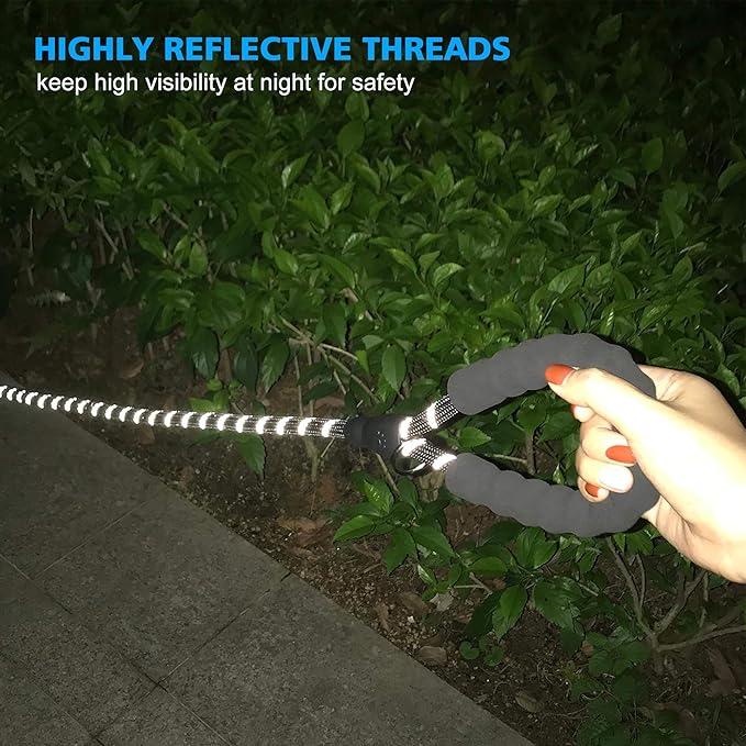 Heavy Duty Dog Leash - Comfortable Padded Handle, 5 ft Long - Dog Leashes for Small Medium Large Dogs (Leash+Collar M Neck 16"-20", Black)