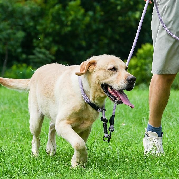 Rope Dog Leash with Two Handles, 6 Foot Heavy Duty Dog Leash with Aviation Aluminum Auto Locking Carabiner, Strong Nylon Pet Lead for Small, Medium, Large Dogs (Purple, 6FT-Two Handle)