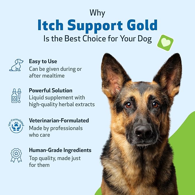 Pet Wellbeing Itch Support Gold for Dogs - Occasional Itching, Scratching, and Hot Spots, Environmental and Seasonal Allergies, Dong Quai - Veterinarian-Formulated Herbal Supplement 2 oz (59 ml)