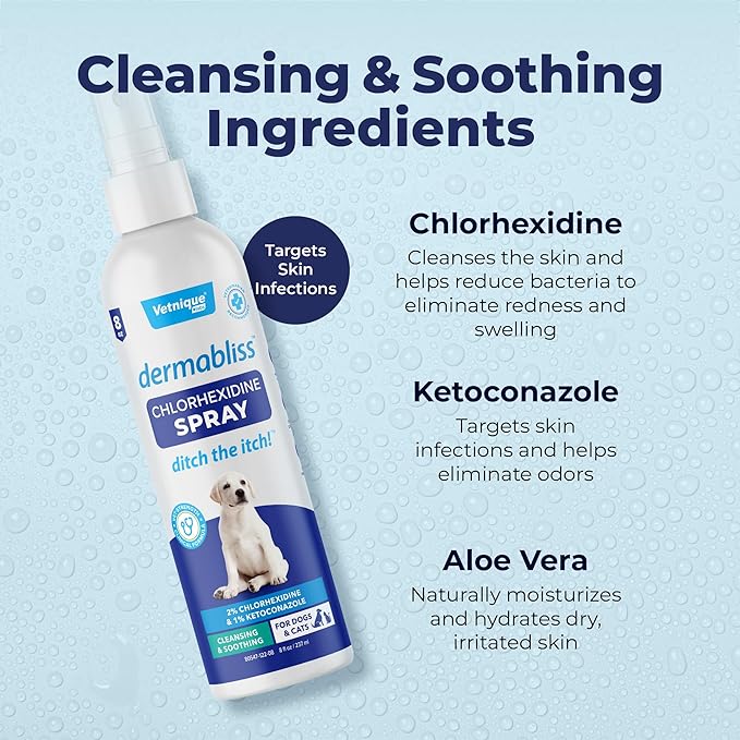 Vetnique Dermabliss Medicated Chlorhexidine Antiseptic Skin Spray for Dogs & Cats, Supports Skin Infections and Irritations 8oz