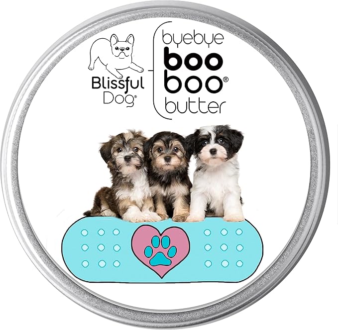 The Blissful Dog Havanese Boo Boo Butter, 1-Ounce