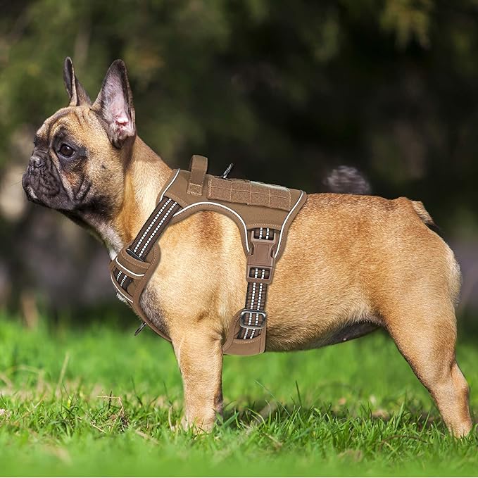 Heavy Duty Tactical Dog Harness for Medium Dogs, Brown, Molle System, Four-point Adjustment, Anti-lost ID Tag, Includes 5ft Leash