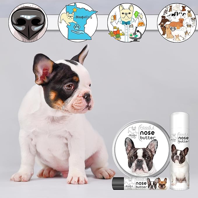 The Blissful Dog French Bulldog Pied Nose Butter for Dry, Cracked Skin, Lick-Safe Dog Nose Balm with Moisturizing Shea Butter, Almond, Olive, and Essential Oils, Pet Supplies, Uncented, 0.50 oz.