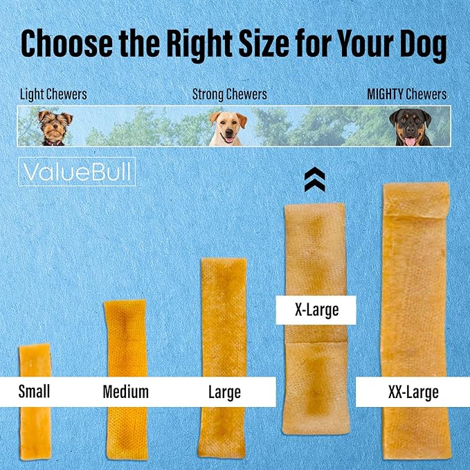 ValueBull Himalayan Yak Cheese Dog Chews, Extra Large, 10 ct - Long Lasting for Aggressive Chewers, All Natural, Healthy & Safe, Low Odor Nepal Yak Milk Chews