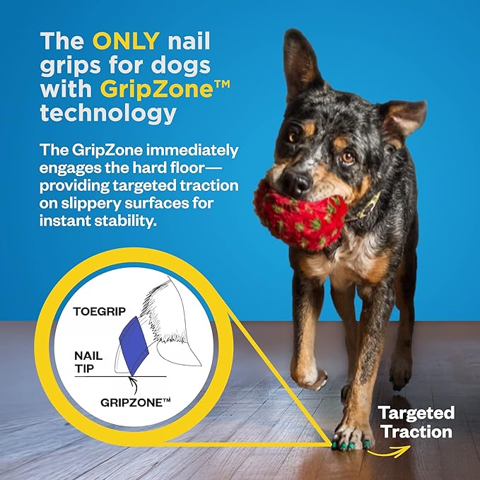 Dr Buzby's XXLarge ToeGrips for Dogs - Instant Traction on Wood/Hardwood Floors - Anti Slip Relief - Grippers for Senior Dogs - Stop Sliding Instantly - Rubber Nails for Paws - 1 Pack (20 Grips)