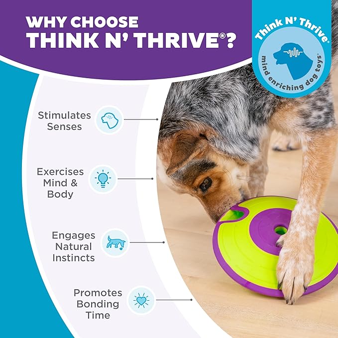 Outward Hound by Nina Ottosson Dog Treat Maze Dog Puzzle Enrichment Toy, Level 2 Intermediate, Green