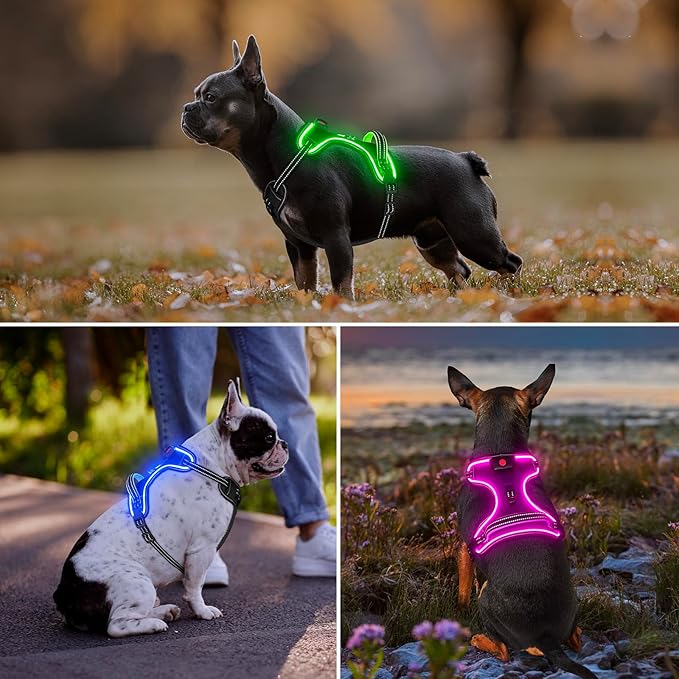 Rechargeable LED Dog Harness - No Pull, 4 Point Adjustable, Lighted Vest for Small/Medium/Large/X-Large Dogs