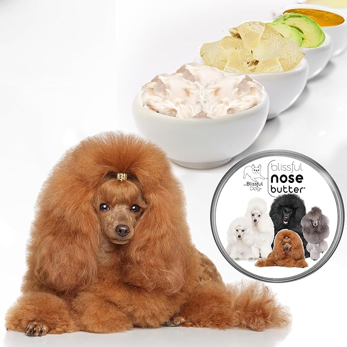 The Blissful Dog Poodle Unscented Nose Butter - Dog Nose Butter, 16 Ounce