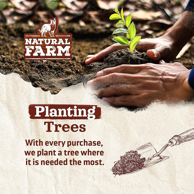 Natural Farm Odor-Free Thin Bully Sticks (12”, 25-Pack) All-Natural Long-Lasting Dog Chews, 100% Beef Pizzle, Grass-Fed, Grain-Free, Protein for Muscle Development & Energy, Perfect for Large Dogs