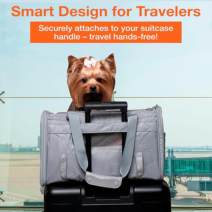 Portable Soft-Sided Pet Carrier for Cats and Small Dogs – Animal Travel Bag with Locking Zippers, Breathable Mesh and Collapsible Design – Lightweight and Secure Cat Dog Travel Crate