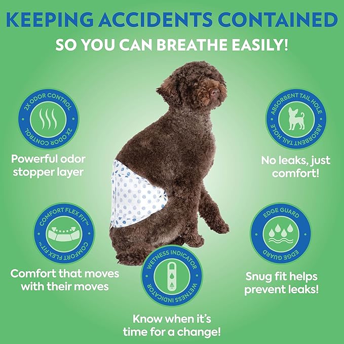 Out! PetCare Disposable Dog Diapers Male, Puppy Belly Band, Potty Training, Doggie Diapers, Belly Bands for Male Dogs, Puppy Training, Incontinence, (XS/S, 32ct)