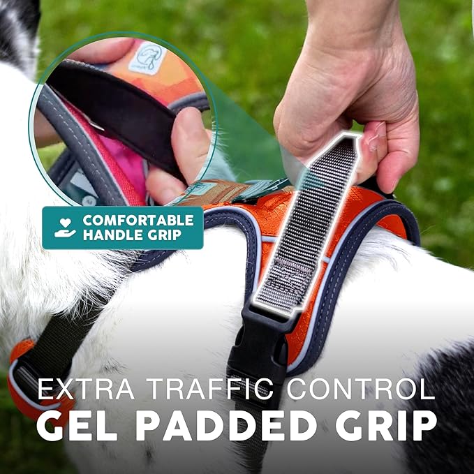 Embark Adventure Dog Harness, Reflective Trim No Pull Dog Harnesses for Small Sized Dogs - Military Grade Nylon, Front Clip with Gel Lined Handle. Soft & Padded Puppy